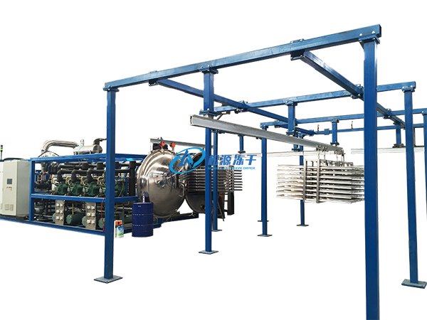 蔬果凍干機(jī)